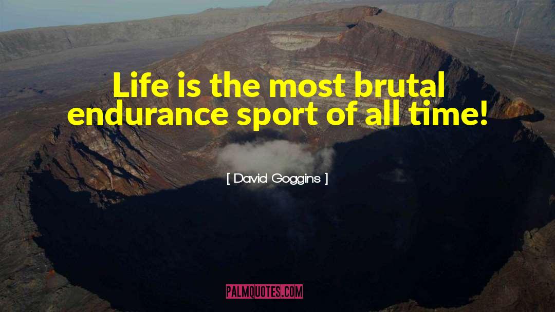 Life Levels quotes by David Goggins