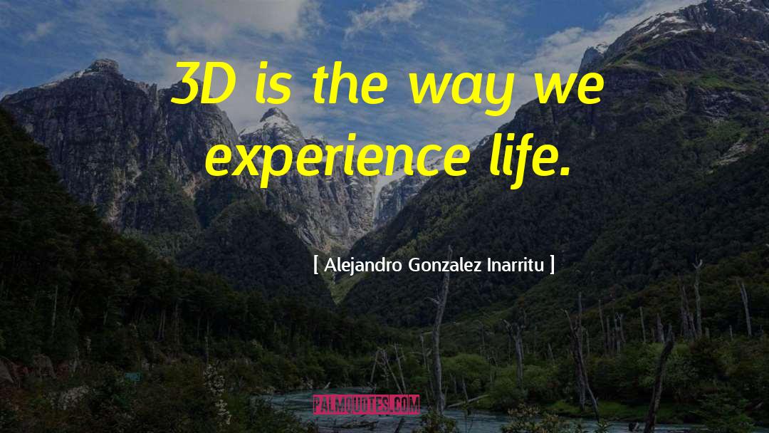 Life Life Experience quotes by Alejandro Gonzalez Inarritu