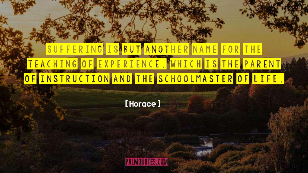 Life Life Experience quotes by Horace