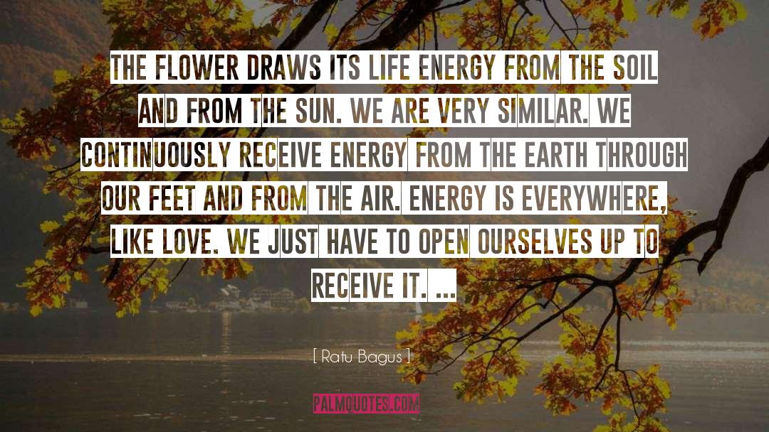 Life Like Flower quotes by Ratu Bagus