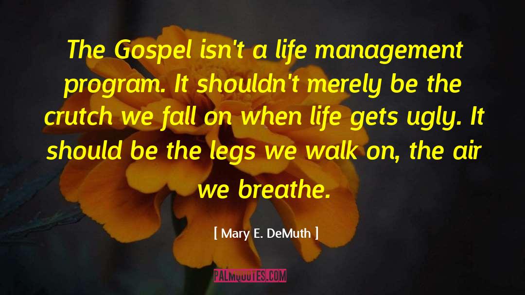 Life Management quotes by Mary E. DeMuth