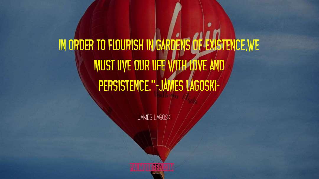 Life Manifesto quotes by James Lagoski