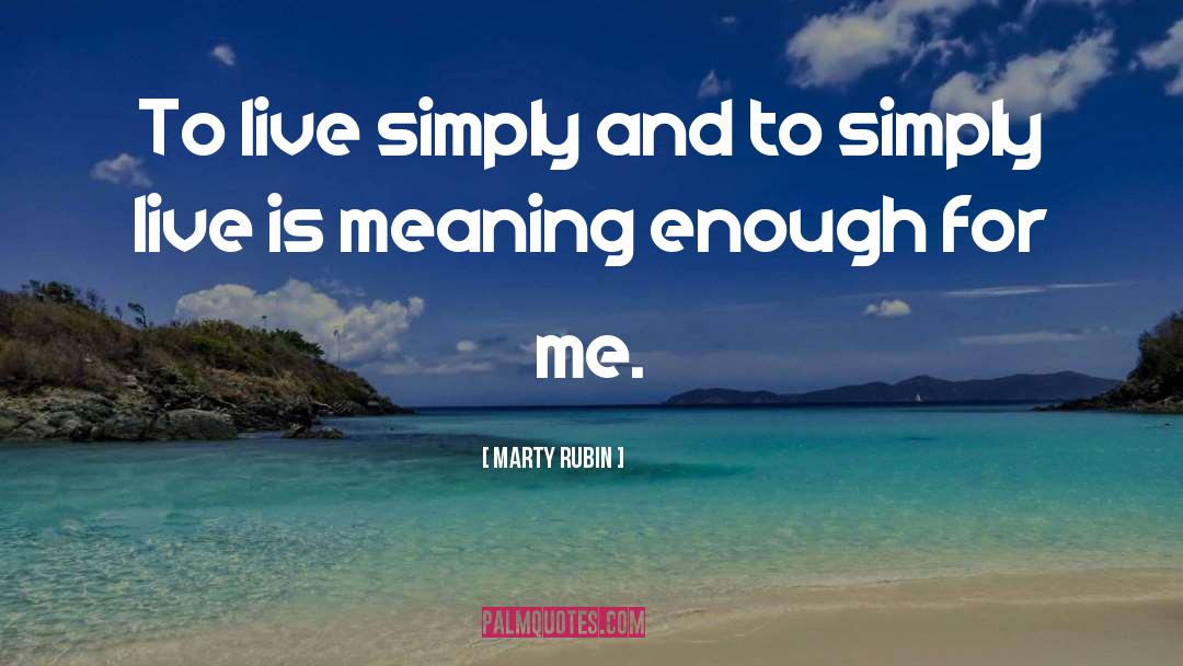 Life Meaning quotes by Marty Rubin