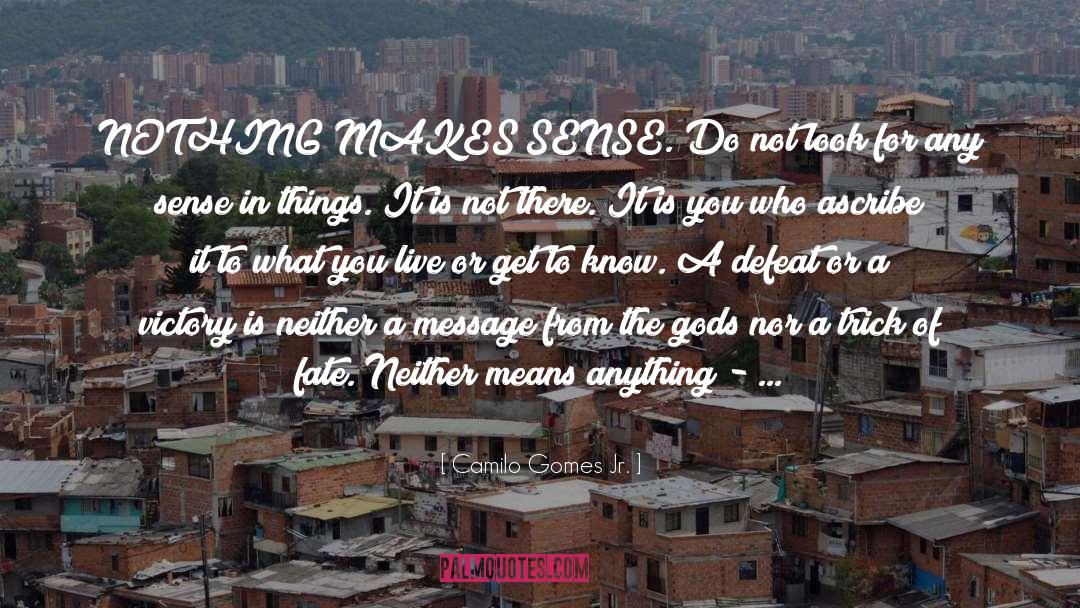 Life Meaning quotes by Camilo Gomes Jr.