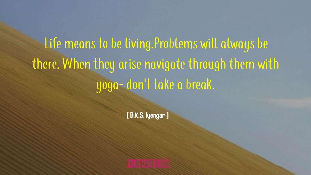 Life Means quotes by B.K.S. Iyengar
