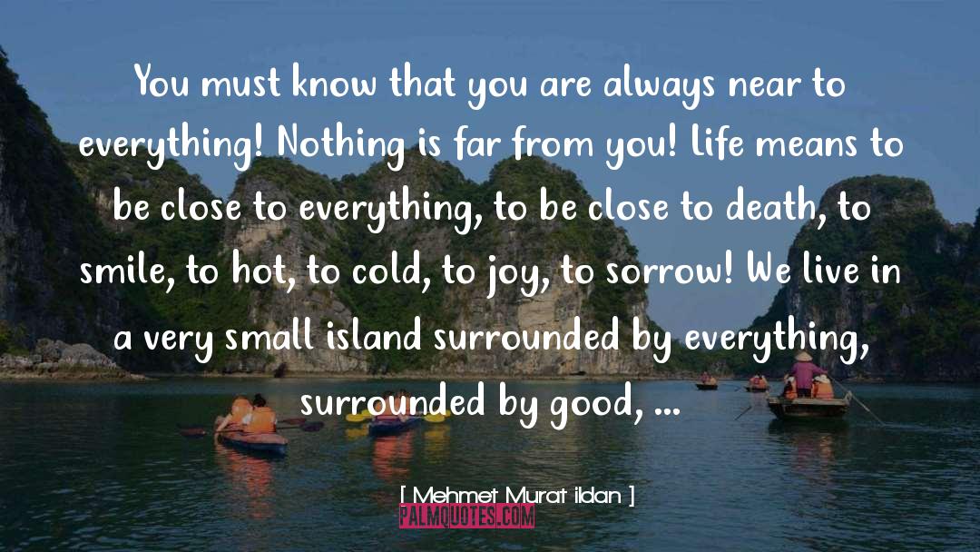 Life Means quotes by Mehmet Murat Ildan