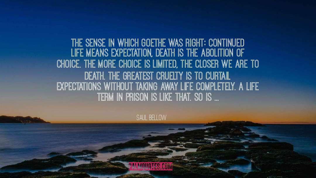 Life Means quotes by Saul Bellow