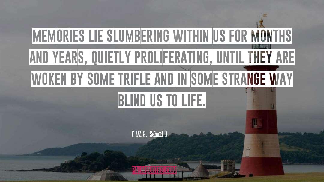 Life Memories quotes by W.G. Sebald