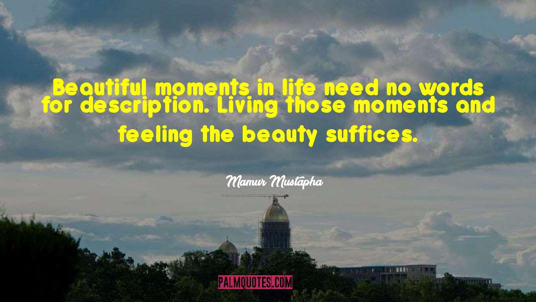 Life Moments quotes by Mamur Mustapha