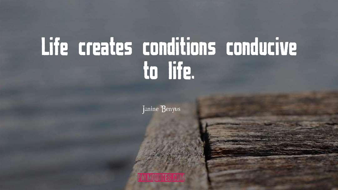 Life Observation quotes by Janine Benyus