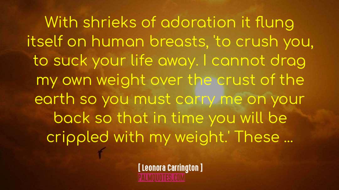 Life Of Love Film quotes by Leonora Carrington
