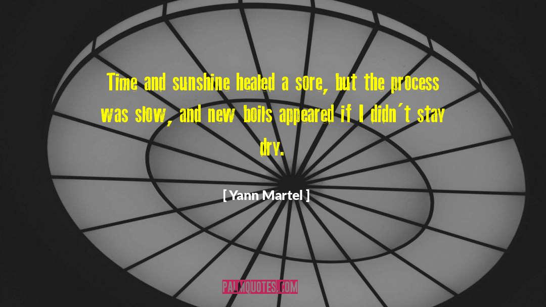 Life Of Pi Novel quotes by Yann Martel