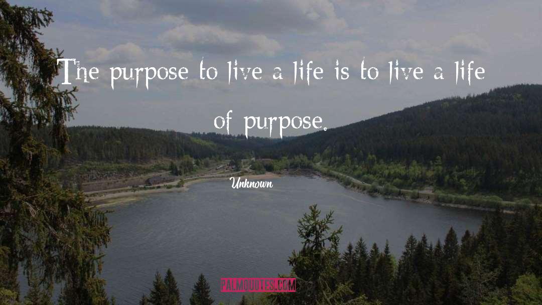 Life Of Purpose quotes by Unknown