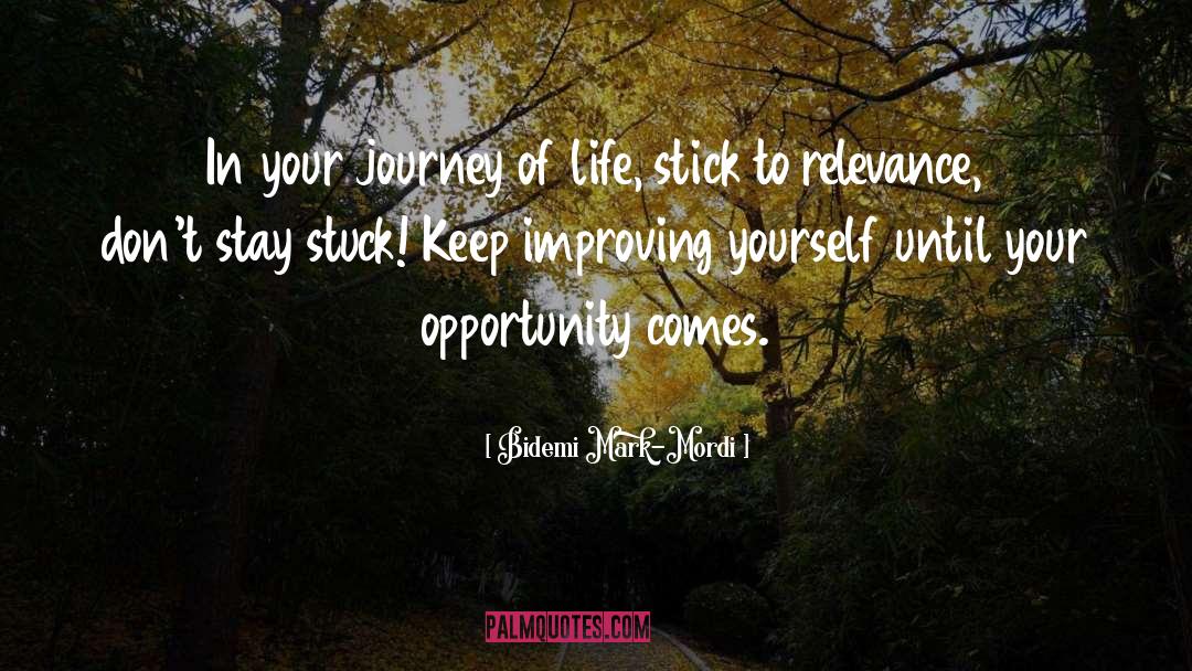 Life Opportunity quotes by Bidemi Mark-Mordi