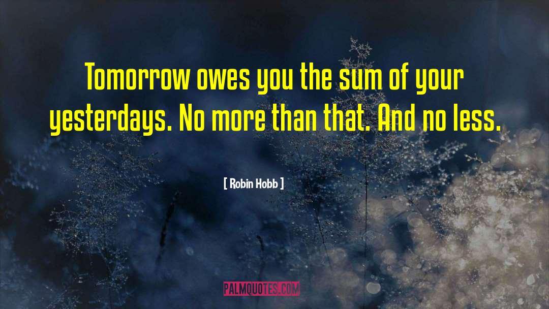 Life Owes You quotes by Robin Hobb