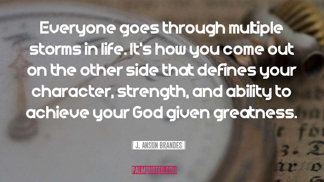 Life Partners quotes by J. Anson Brandes