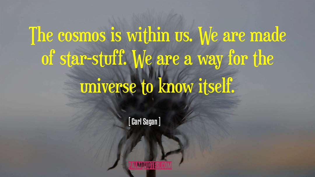 Life Partnerships quotes by Carl Sagan