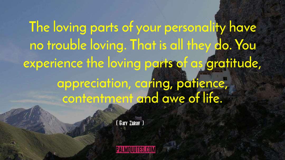 Life Patience quotes by Gary Zukav