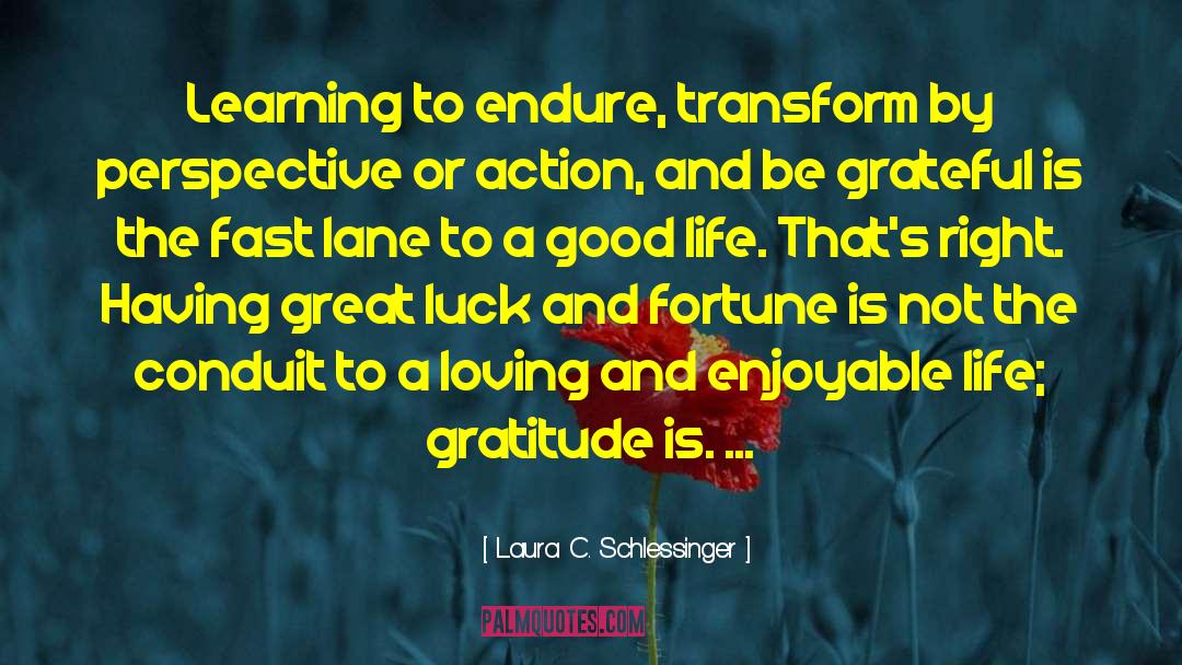 Life Perspective quotes by Laura C. Schlessinger