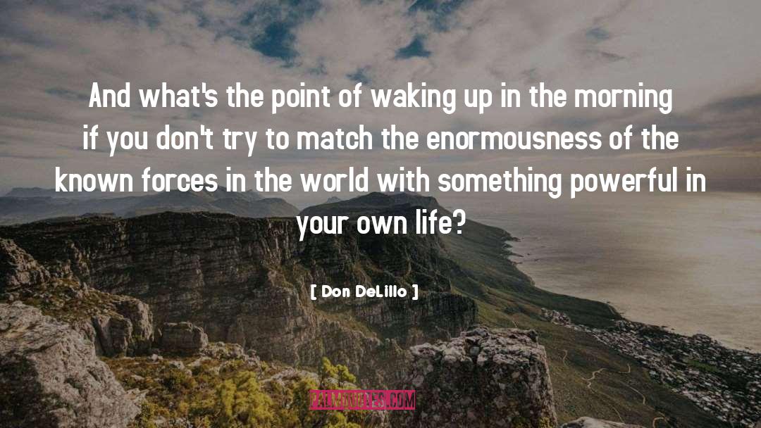 Life Philosphy quotes by Don DeLillo