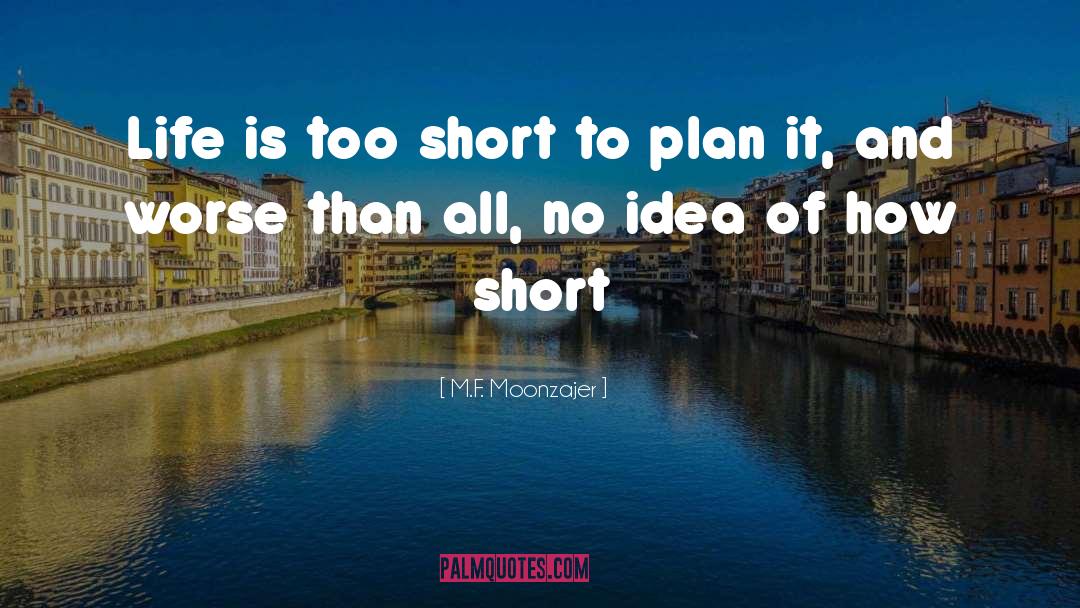 Life Plan quotes by M.F. Moonzajer