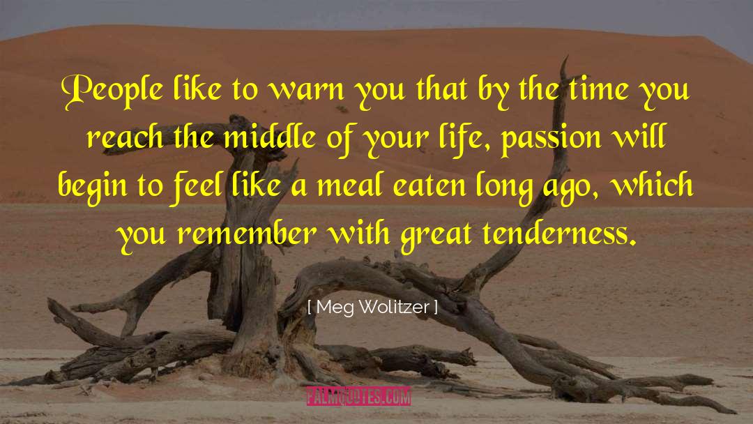 Life Potential quotes by Meg Wolitzer