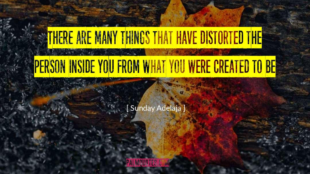 Life Potential quotes by Sunday Adelaja