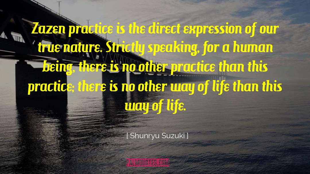 Life Practice quotes by Shunryu Suzuki