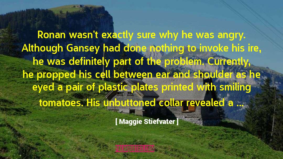 Life Problem quotes by Maggie Stiefvater