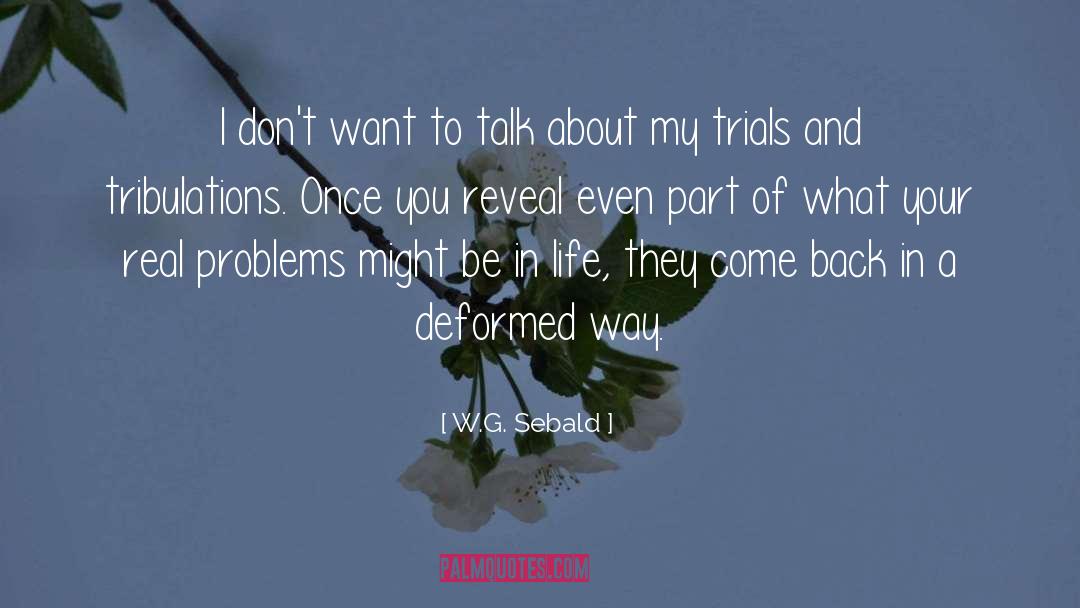 Life Problems quotes by W.G. Sebald