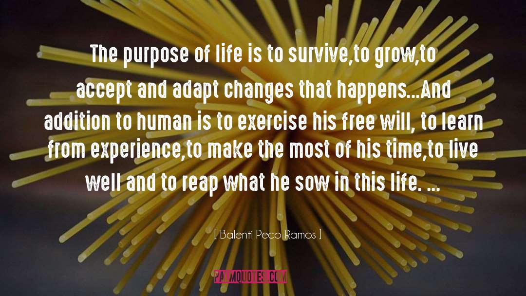 Life Purpose quotes by Balenti Peco Ramos