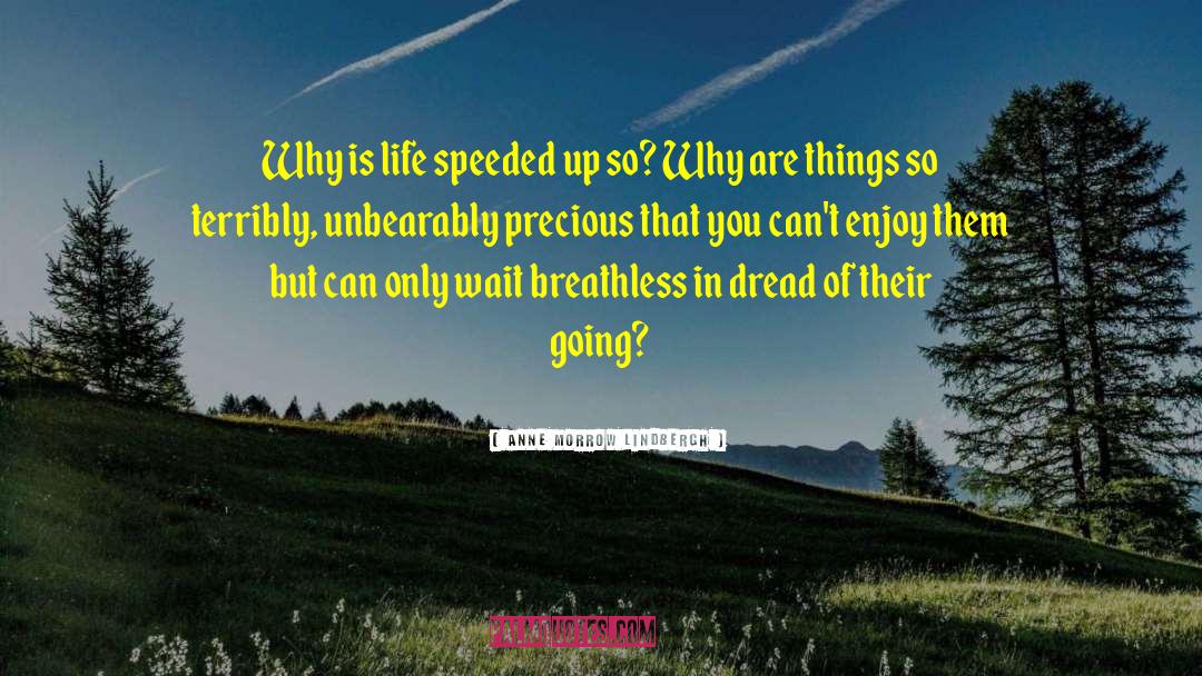 Life Puzzles quotes by Anne Morrow Lindbergh