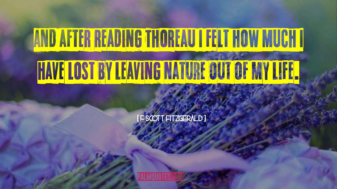Life Reading quotes by F Scott Fitzgerald