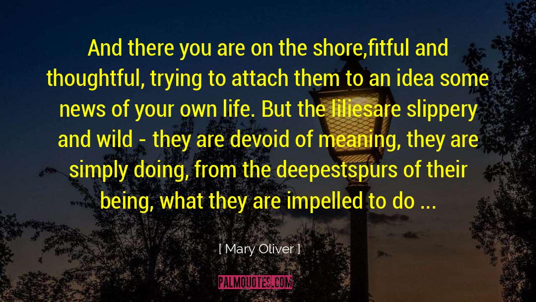 Life Realities quotes by Mary Oliver