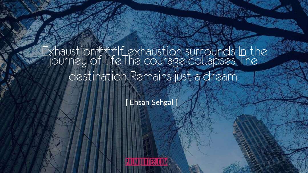 Life Rebuilding quotes by Ehsan Sehgal