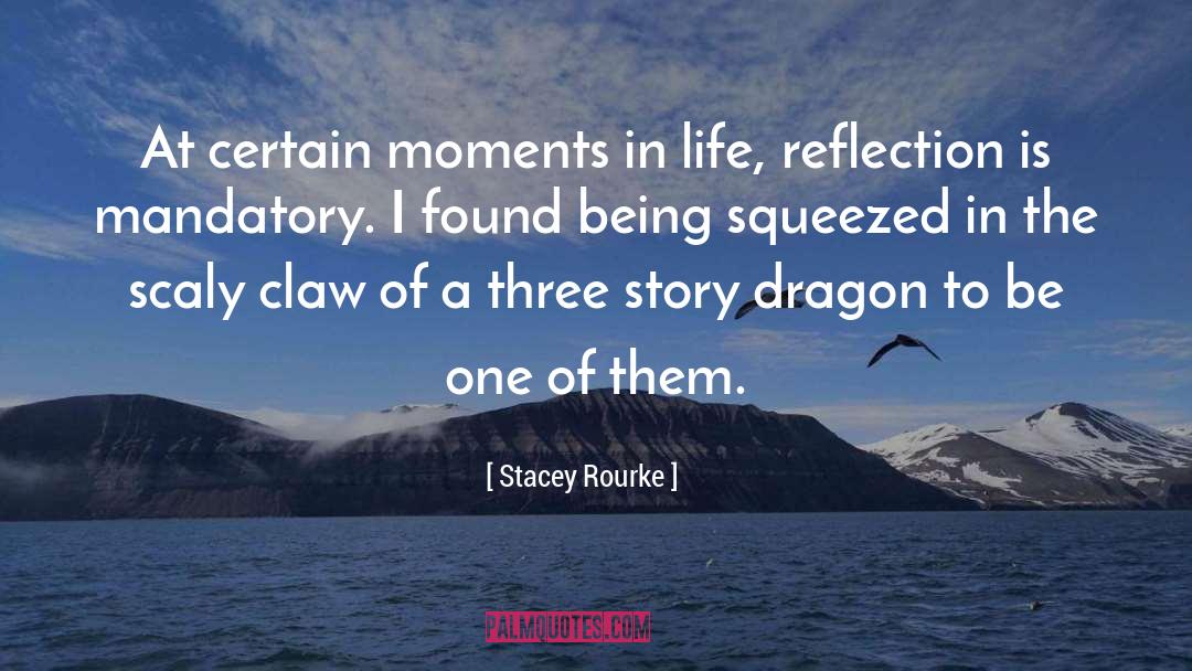 Life Reflection quotes by Stacey Rourke