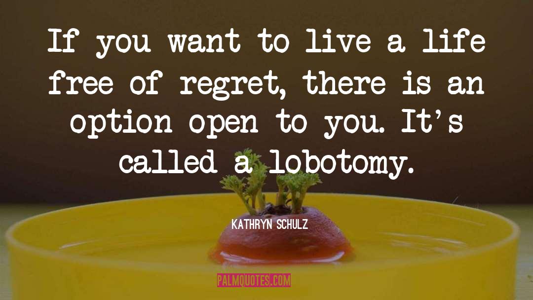 Life Regret quotes by Kathryn Schulz