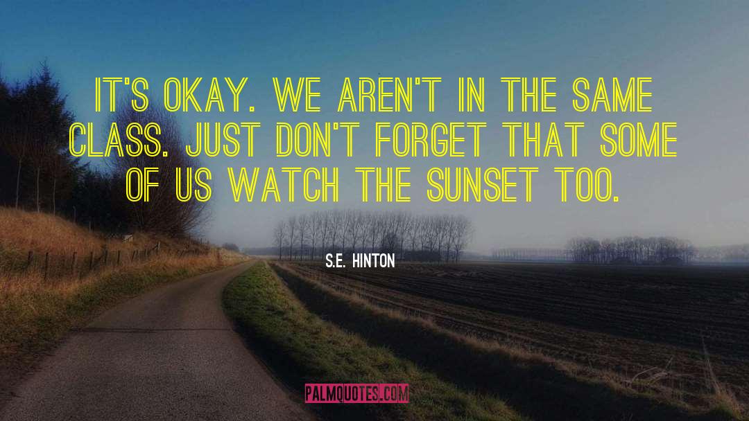 Life S Investment quotes by S.E. Hinton