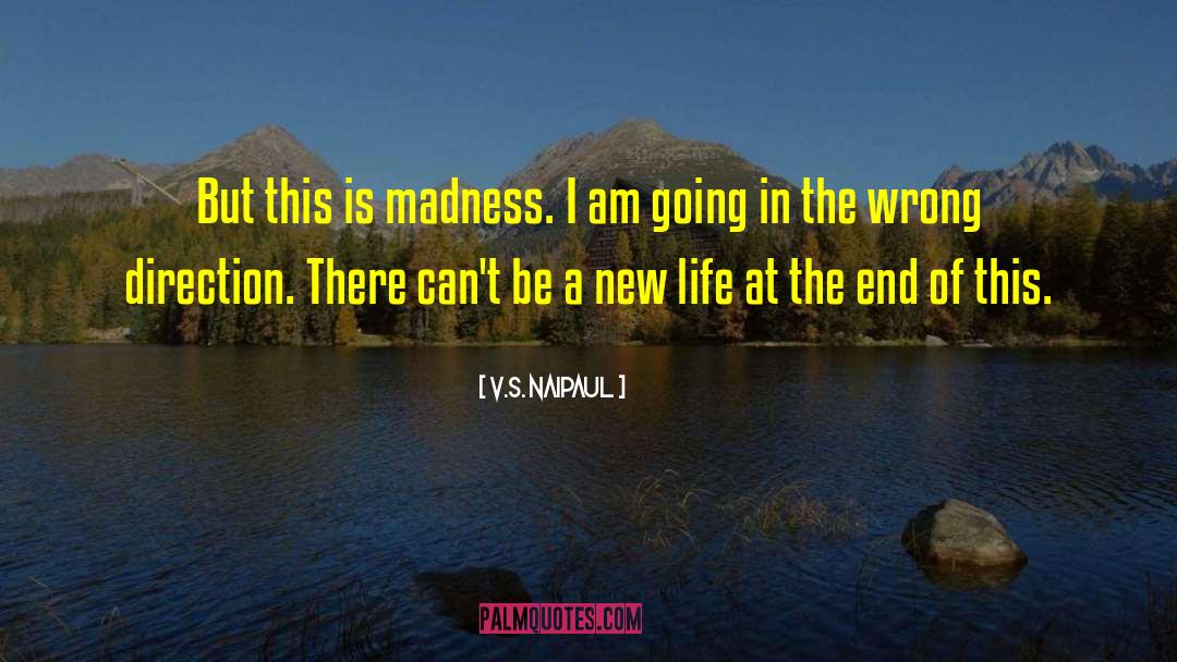 Life S New Game quotes by V.S. Naipaul