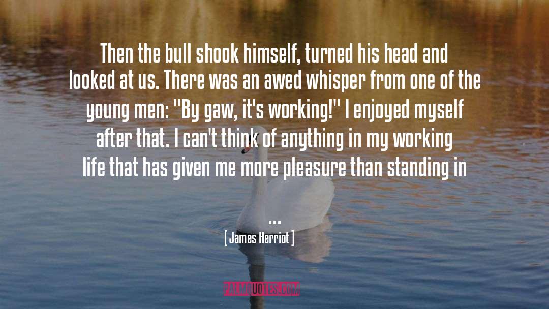 Life Saving quotes by James Herriot