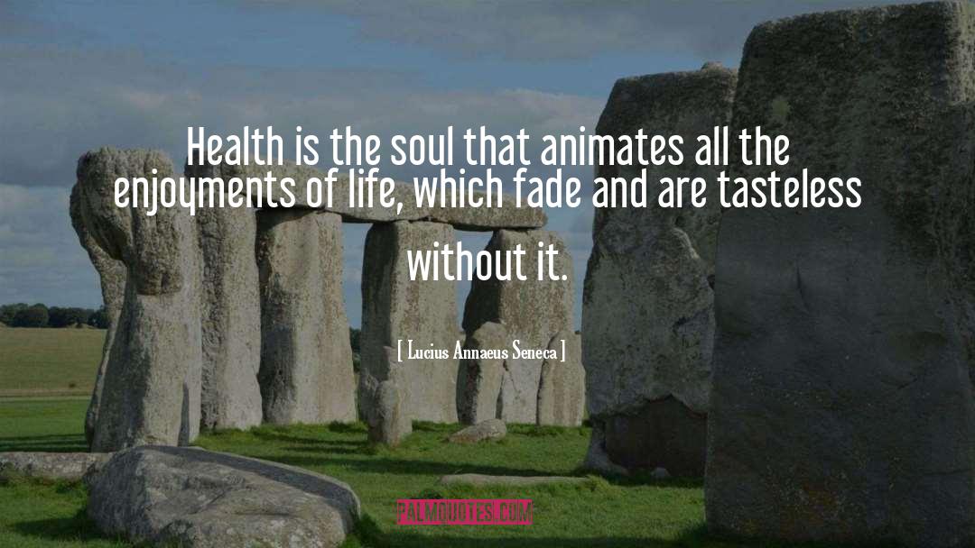 Life Soul quotes by Lucius Annaeus Seneca