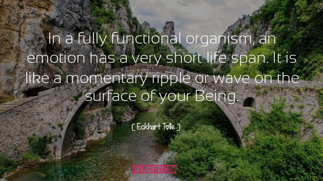 Life Span quotes by Eckhart Tolle