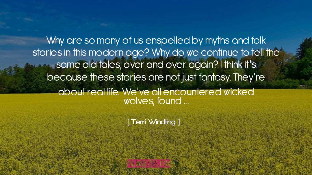 Life Story Door quotes by Terri Windling