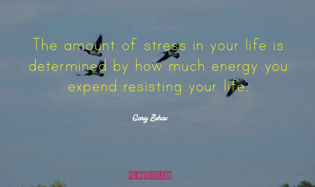 Life Stress quotes by Gary Zukav