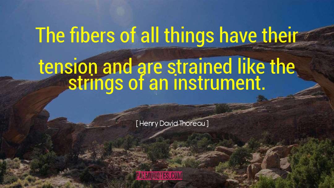Life Stress quotes by Henry David Thoreau