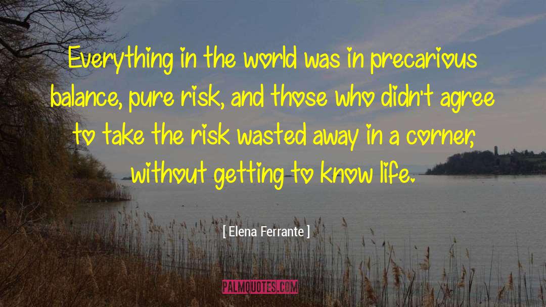 Life Stress quotes by Elena Ferrante