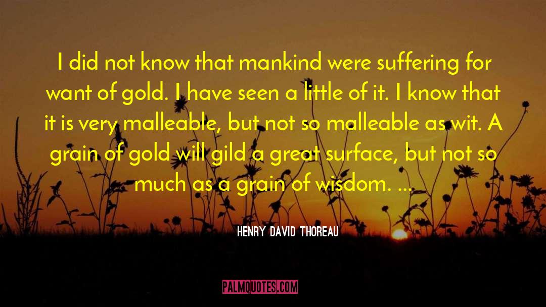 Life Suffering quotes by Henry David Thoreau