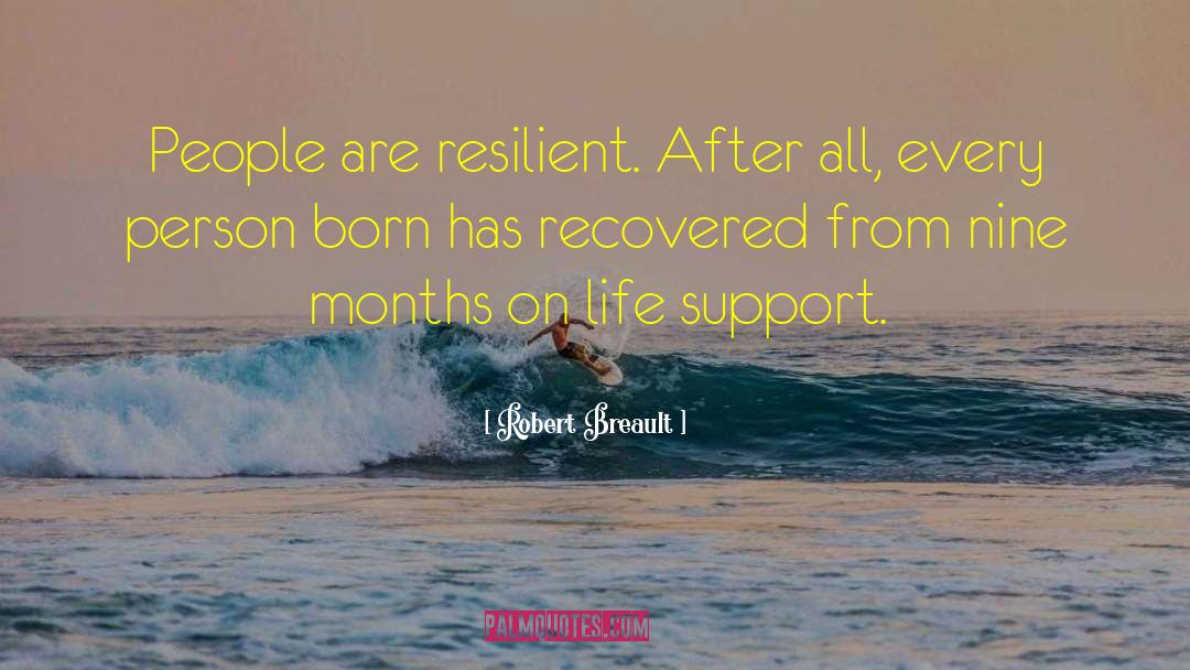 Life Support quotes by Robert Breault