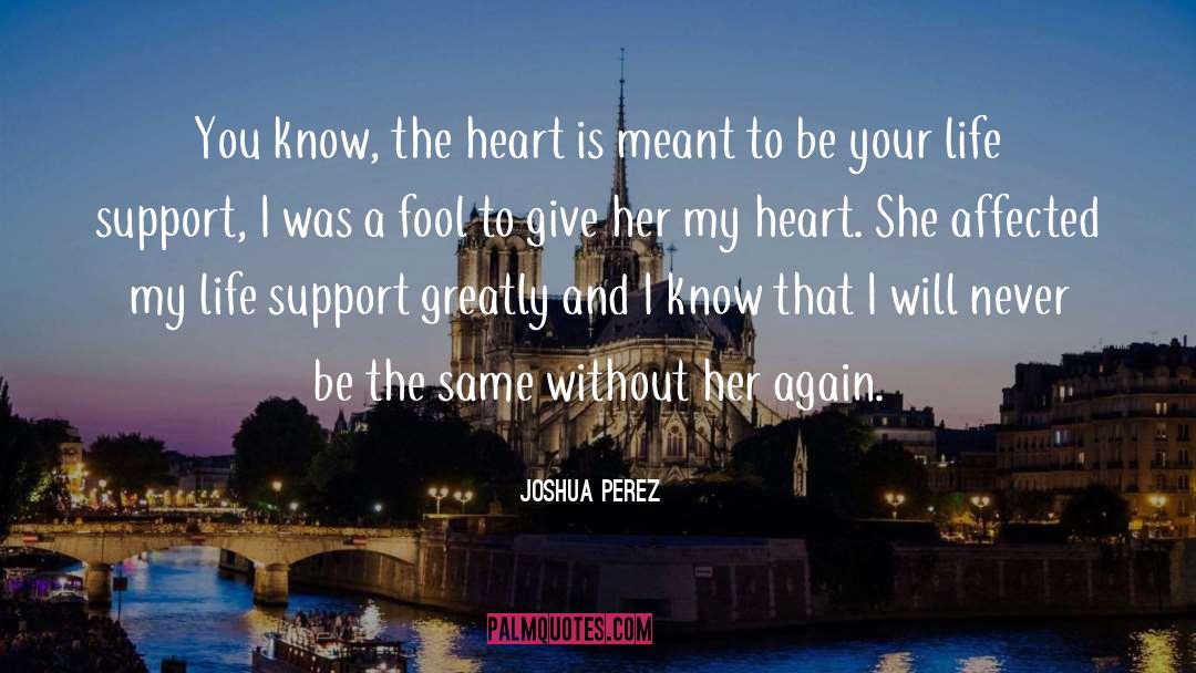 Life Support quotes by Joshua Perez