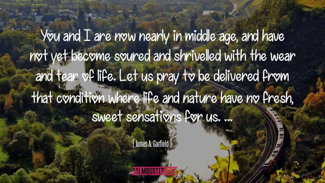 Life Sweet quotes by James A. Garfield